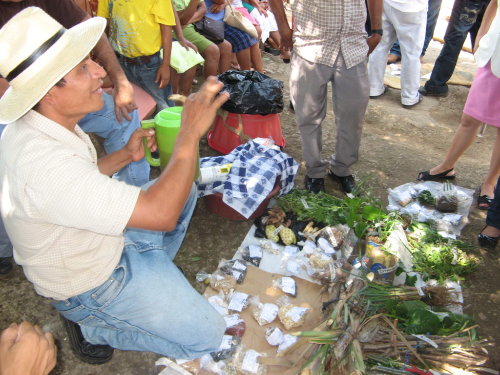 Fidel at the seed fair