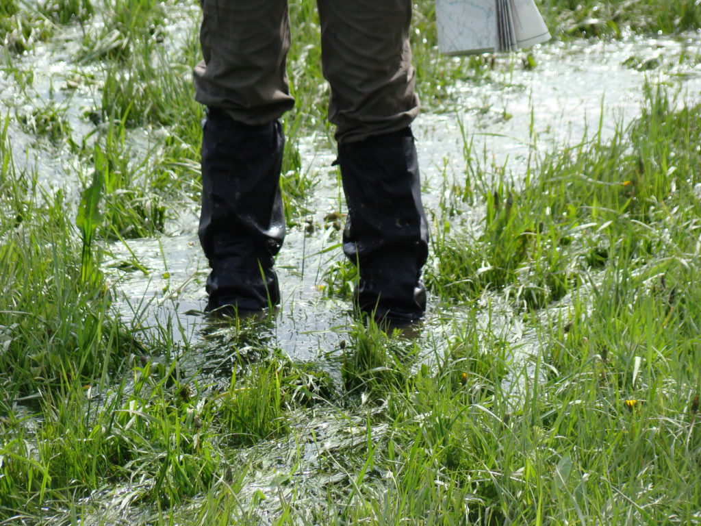 Becky standing in water