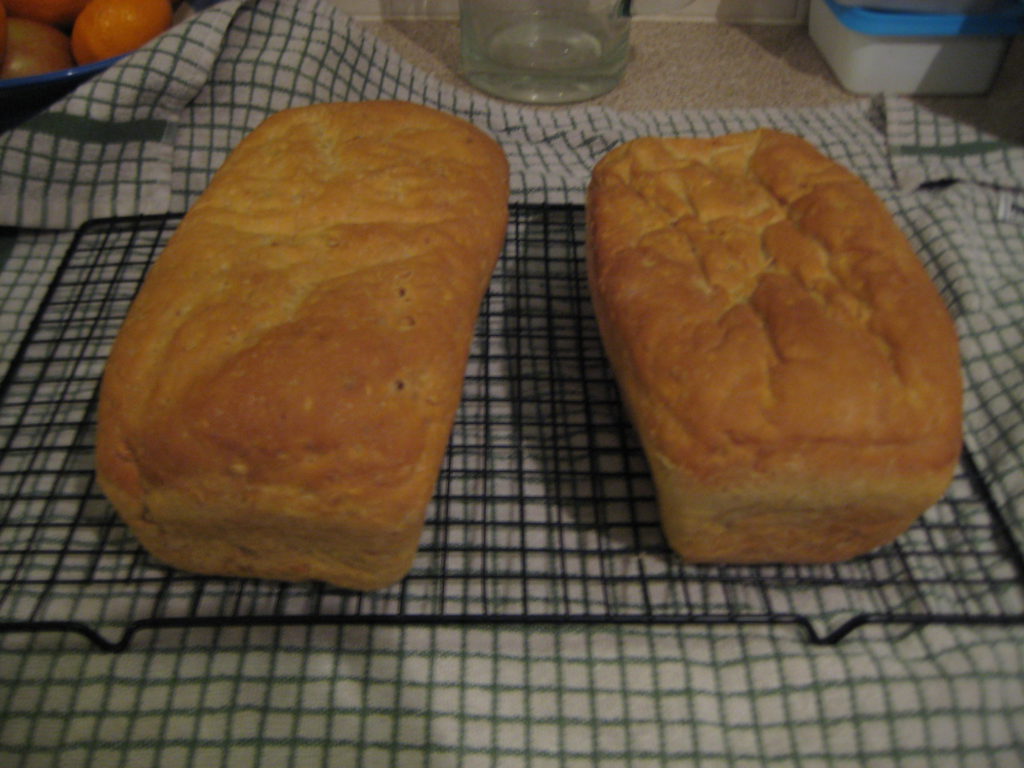 Linseed bread