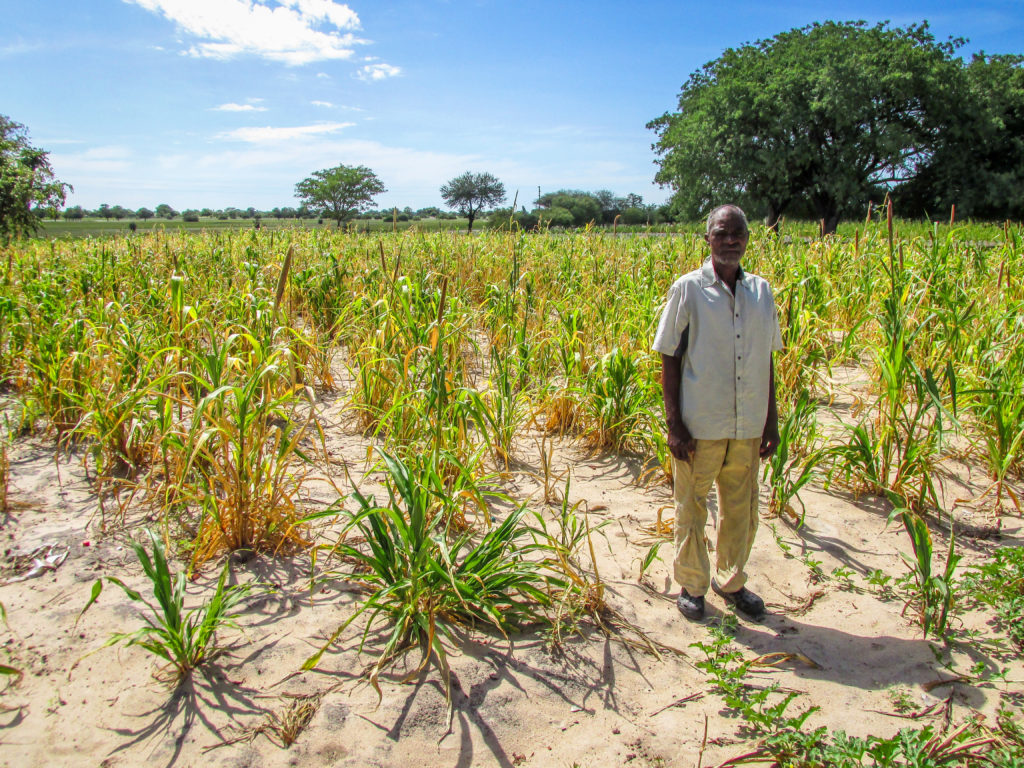 Pascalice, with his crop affected by drought in Namibia