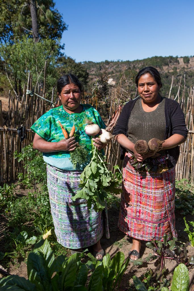 Catalina holding produce