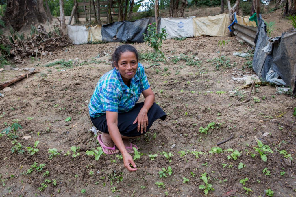 Carmen, with seedlings in her vegetable garden. ASOMUPRO, Nicaragua - CAFOD