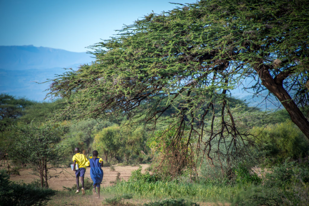 Kenyan landscape