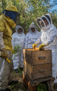 A training workshop in caring for bees. CAFOD's partner in Nicaragua runs a beekeeping project to give women a source of income. They work in a group to care for hives and bees and are then able to sell the honey produced.