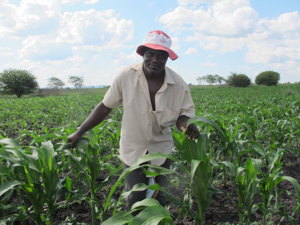 Moyo and other farmers have been helped by CAFOD