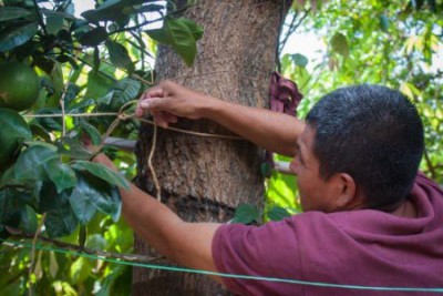 CAFOD partner Fidel at work in Puentecitos, El Salvador