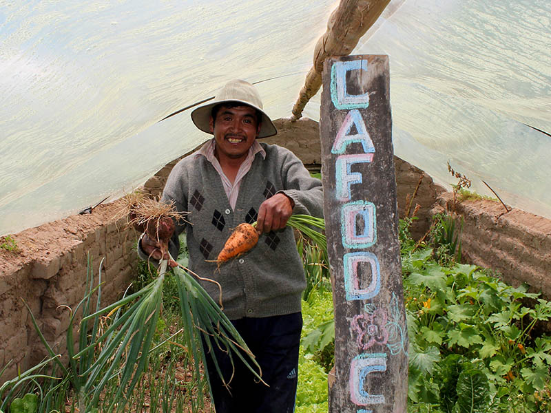 Part of a sustainable agriculture project supported by CAFOD partners in Bolivia