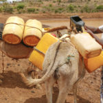 We have installed new troughs for animals, such as these hard-working donkeys, to drink from.
