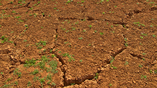 The dry, cracked earth in Kitui 