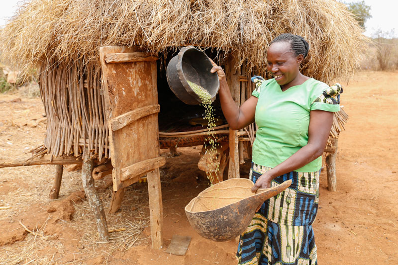 Stella winnows mung beans grown on her farm.