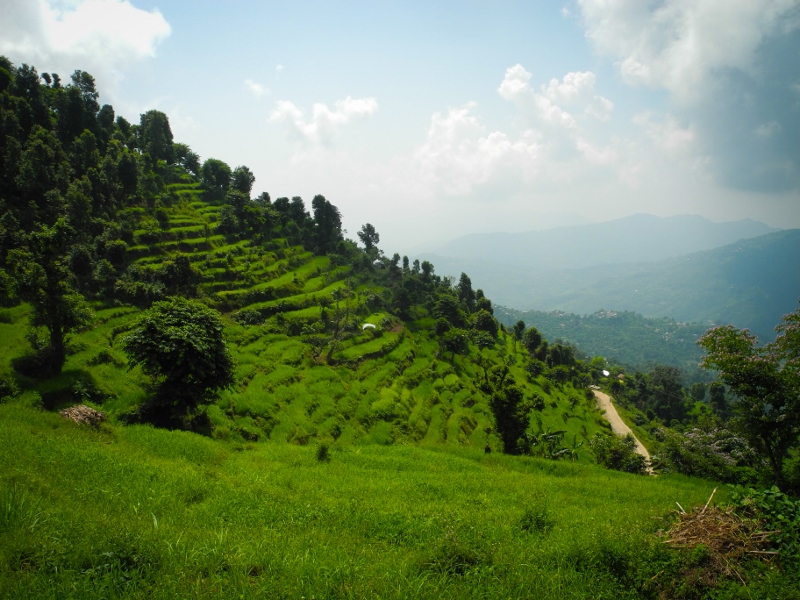 Lush green hillsides in Gorkha district