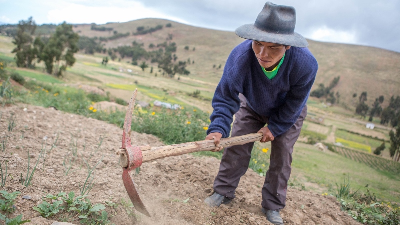 03_vladimir-and-maria_vladimir-digging-02-800x450