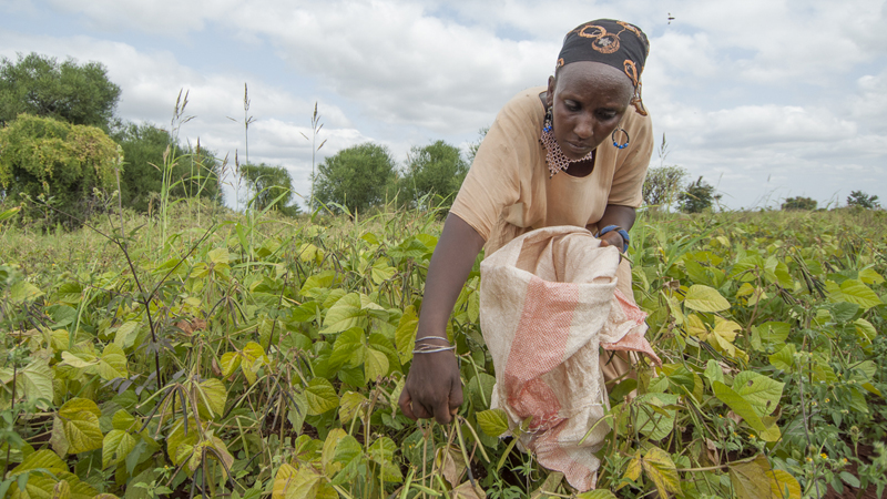 Gumato has learnt new farming methods in Kenya