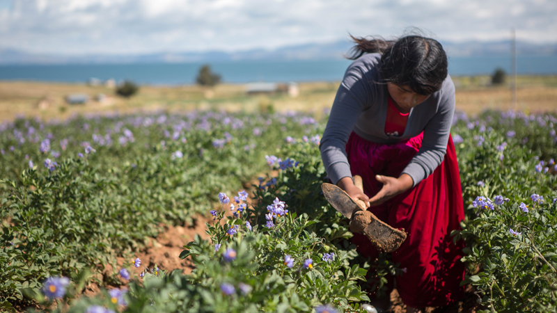 Rebeca has learnt vital farming skills from CAFOD's partner CIPCA in Bolivia