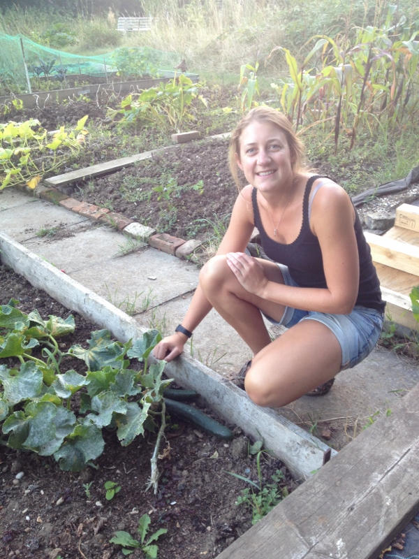 Laura picking cucumbers on her allotment