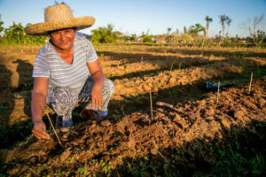 A livelihoods project in the Philippines