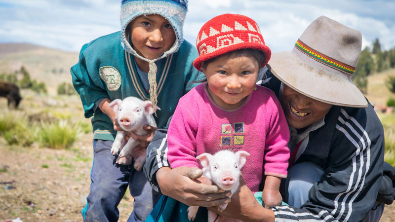 Bernardo with his children and their piglets, Bolivia