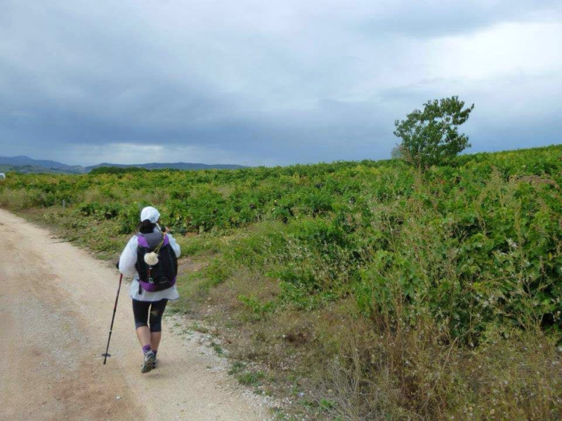 CAFOD volunteer Cristina found her inner strength while walking the Camino route.