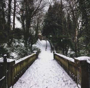 The snow looked very beautiful but caused lots of chaos. 