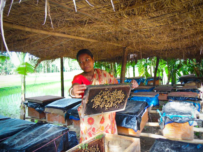 A training workshop in caring for bees. CAFOD's partner in Nicaragua runs a beekeeping project to give women a source of income. They work in a group to care for hives and bees and are then able to sell the honey produced.