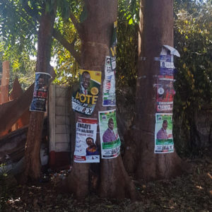 Trees in Zimbabwe covered in election posters