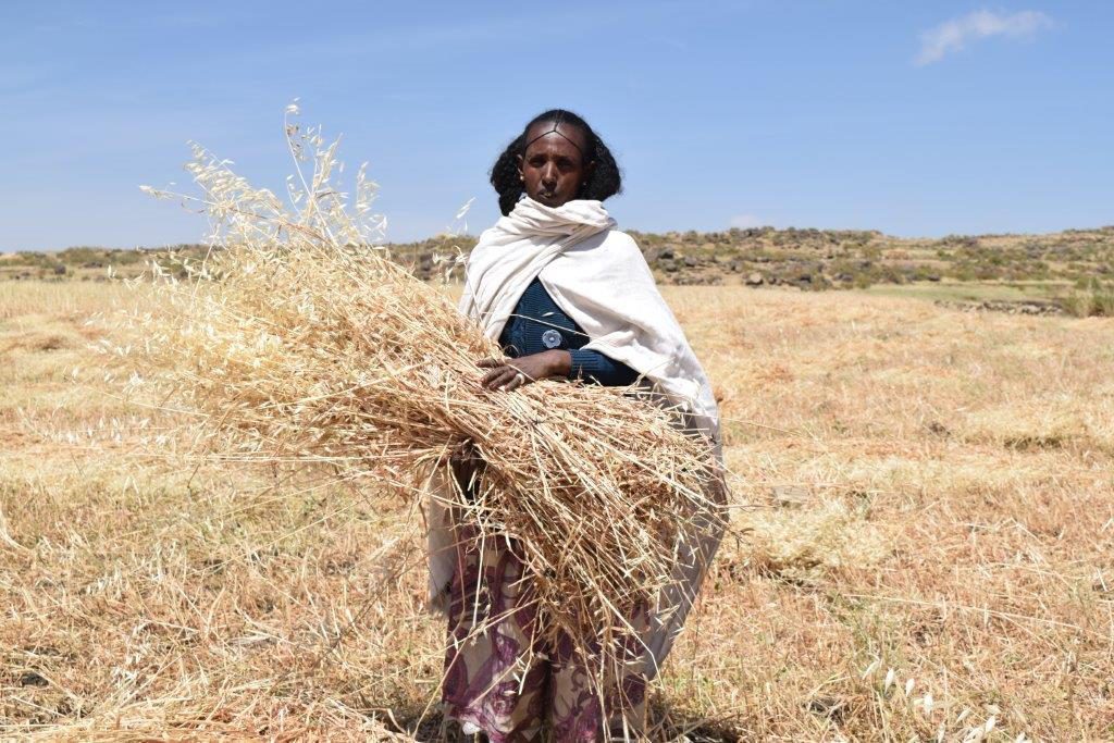 Herit and her life changing harvest