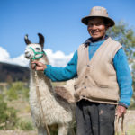 Help a llama farmer to keep his llama happy and well fed all year