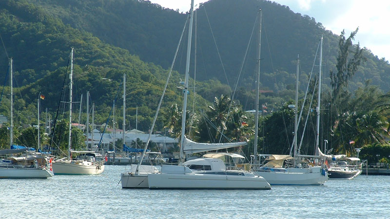 Five tourist boats float in the foreground with more visible behind them