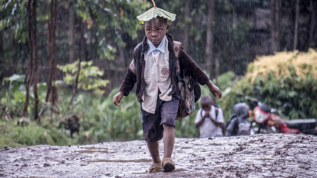 Children use leaves as umbrellas