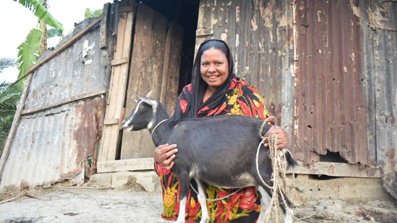 Rubina with her pregnant goat