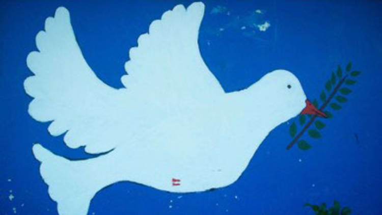 White dove painted on blue background.