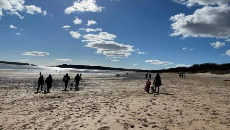 Group of people walking on a beach