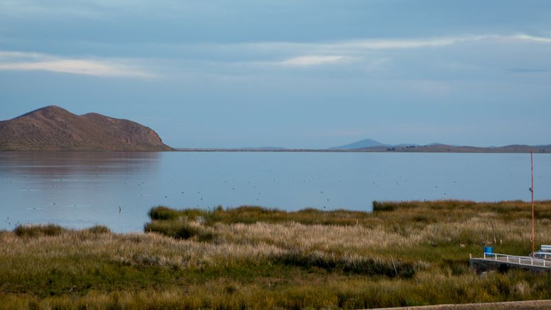 A patch of grass in front of a calm lake, with a mountain in the background.